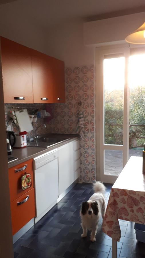 Villa Giulia Al Mare Castiglione della Pescaia Eksteriør billede
