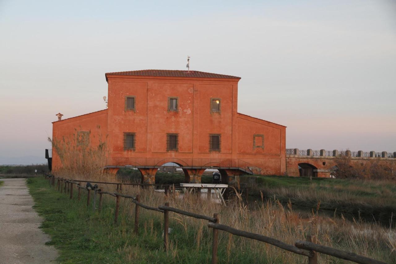 Villa Giulia Al Mare Castiglione della Pescaia Eksteriør billede