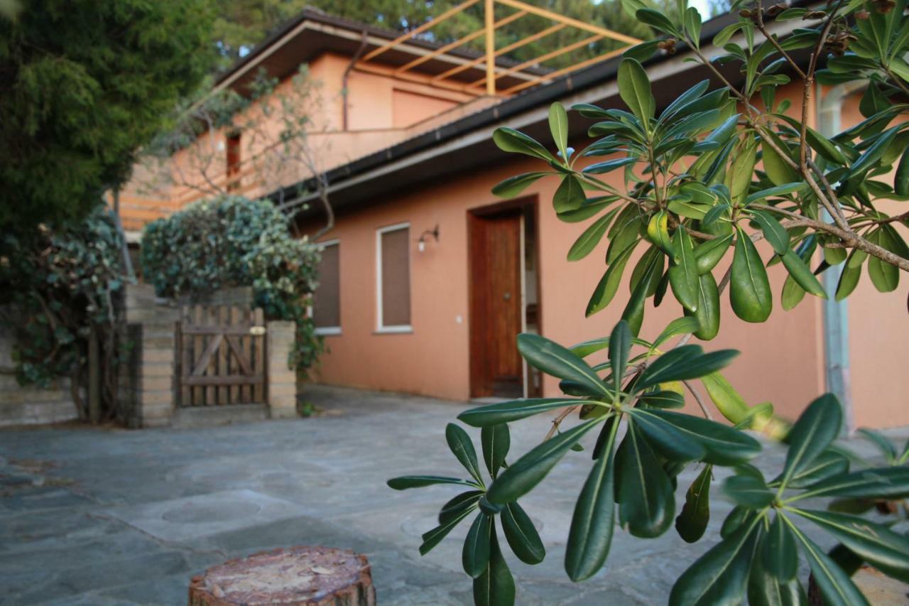 Villa Giulia Al Mare Castiglione della Pescaia Eksteriør billede